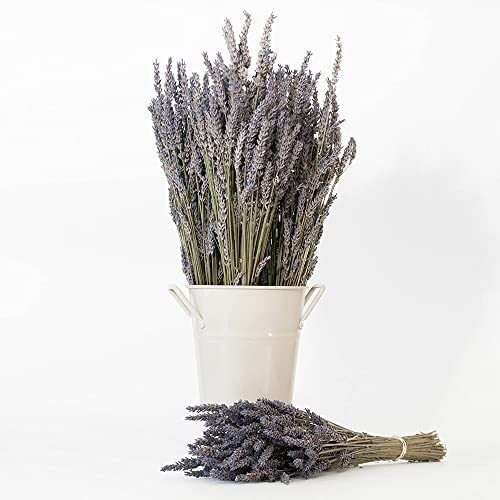 Victoria's Lavender Pillow and Linen Spray — Lavender Essential Oil - Lavender Spray, Mist Handmade in Oregon, Made in USA, Pack of 2, 16 oz Total 8 fl Oz