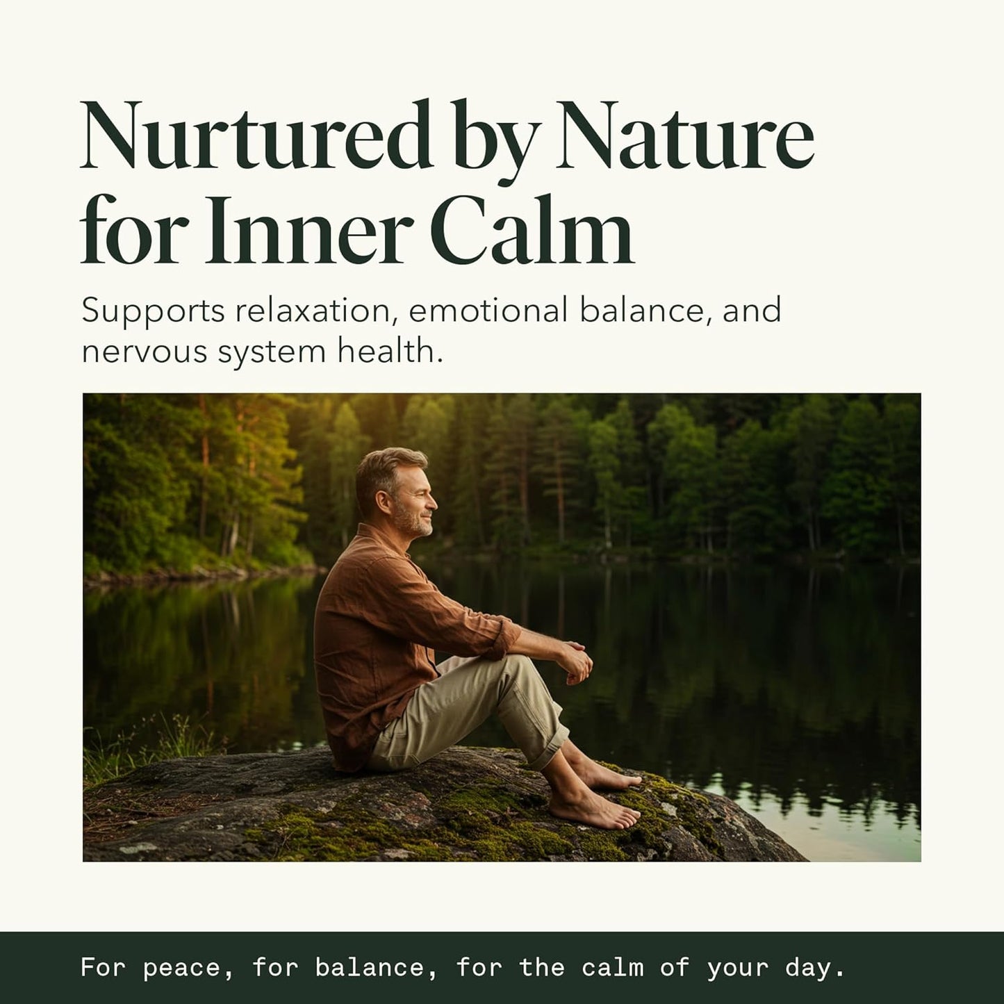 Reishi Mushroom Extract Drops Fantastic Fungi Chill Elixir, 4-in-1 Mood Support Supplement w/ Holy Basil & Shiitake Mushrooms for Relaxation & Calm | 100% Organic & Natural | 30 Servings, 1 fl oz