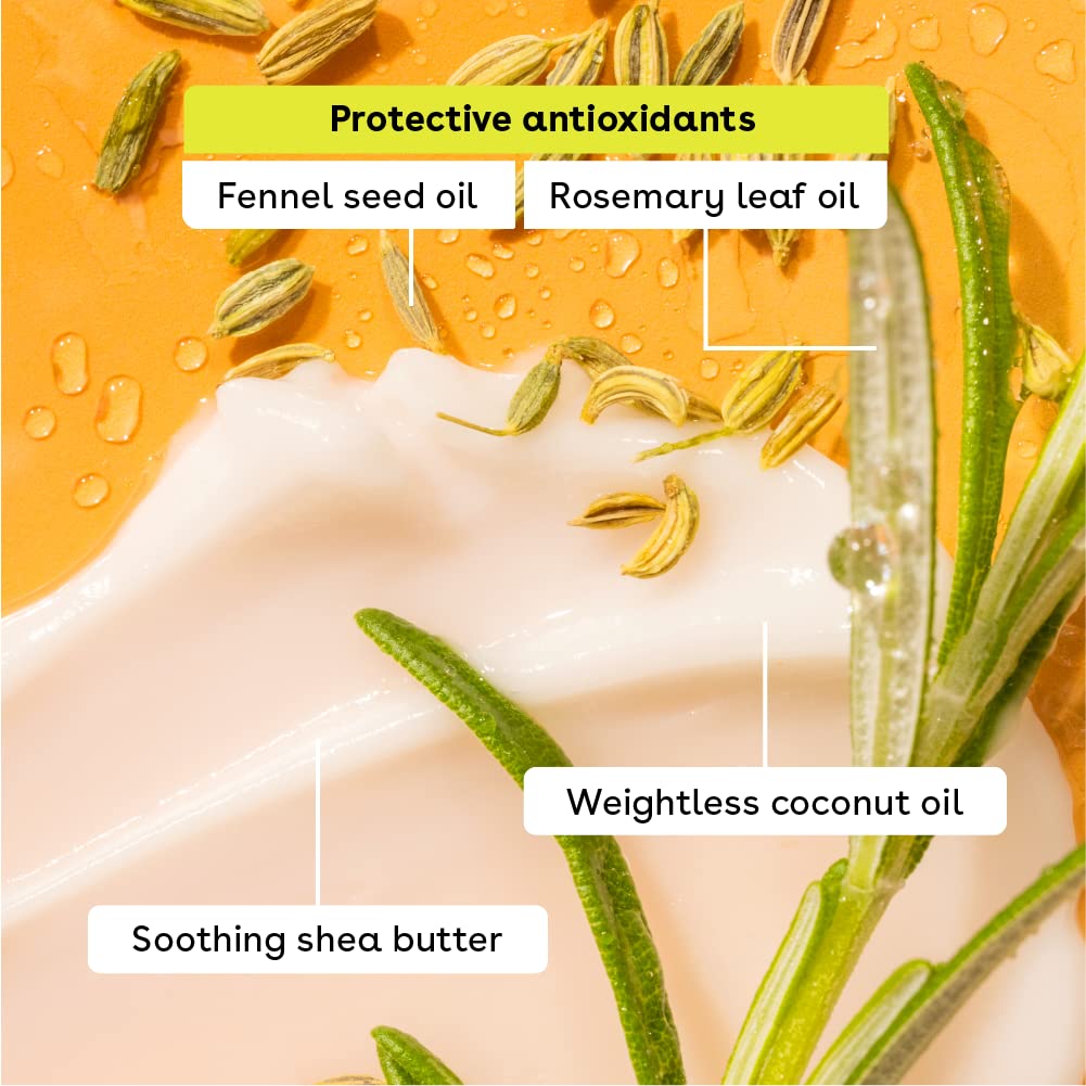 eos 100% Natural & Organic Lip Balm- Apricot, All-Day Moisture, Dermatologist Recommended for Sensitive Skin, Lip Care Products, 0.25 oz