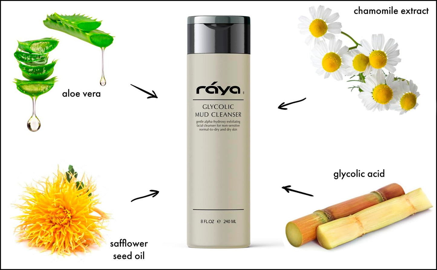 Raya Glycolic Mud Facial Cleanser with AHA 8 oz (G-103) | Exfoliating pH Balanced Facial Cleansing Fluid for Non Sensitive, Dry and Combination Skin | Made with Alpha Hydroxy Acid and Volcanic Mud