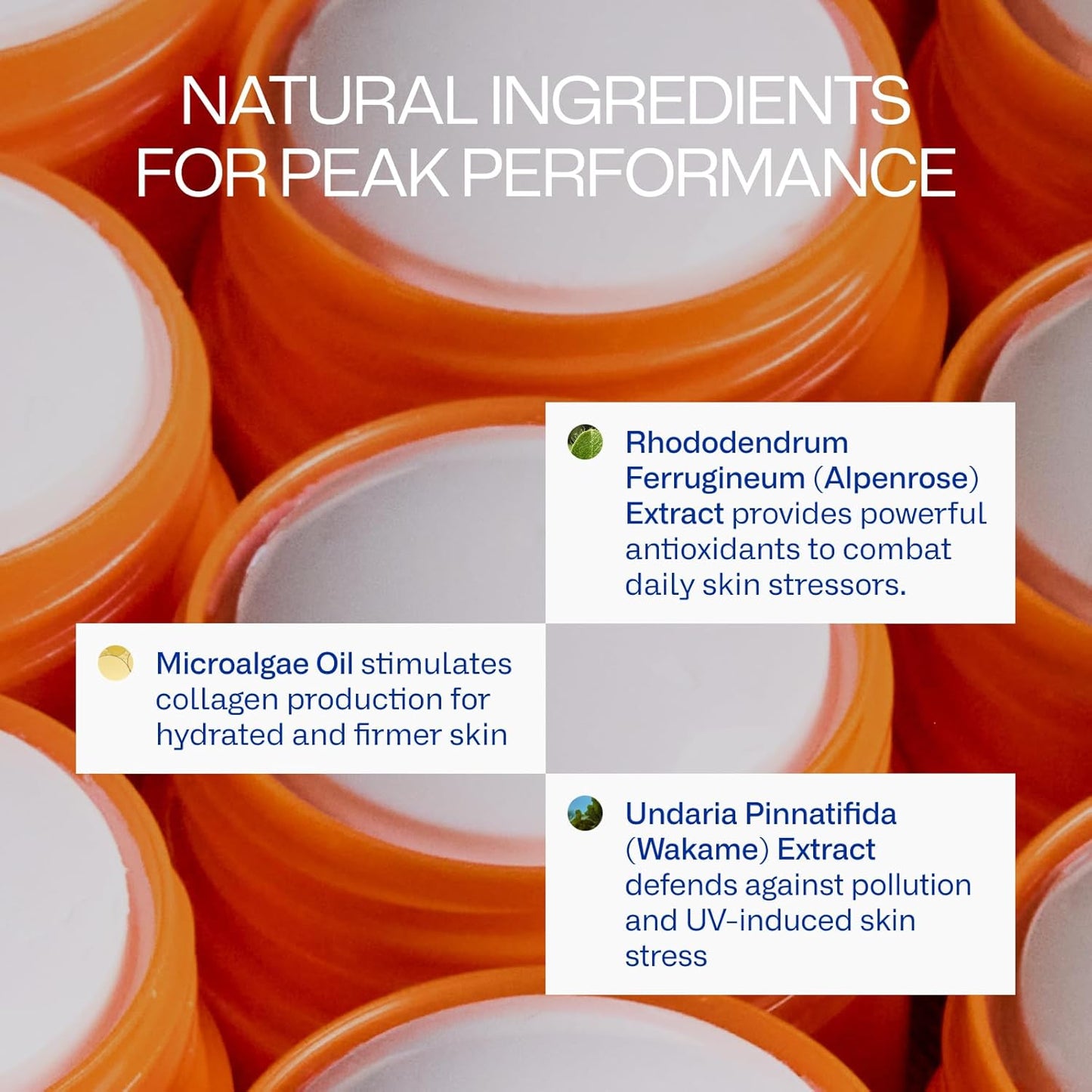 Peak Performance Sun Stick SPF 50 | 100% Mineral Sunscreen | Lightweight, 40-Min Water-Resistant | Plant-Based, Eco-Friendly, Reef-Safe, Cruelty-Free | All Skin Types | 0.70 oz | Pack of 2