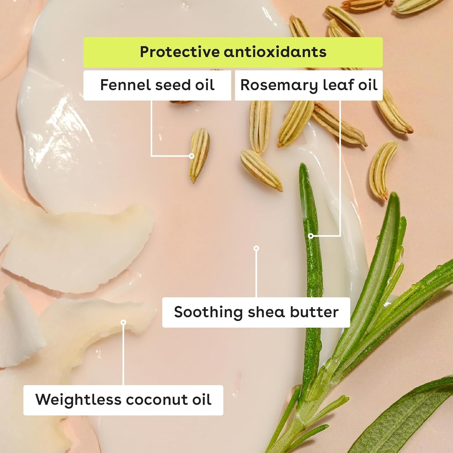 eos 100% Natural & Organic Lip Balm Sticks- Strawberry Sorbet, Vanilla Bean, Sweet Mint & Pomegranate Raspberry, Lip Care Products, 0.14 oz, 4-Pack