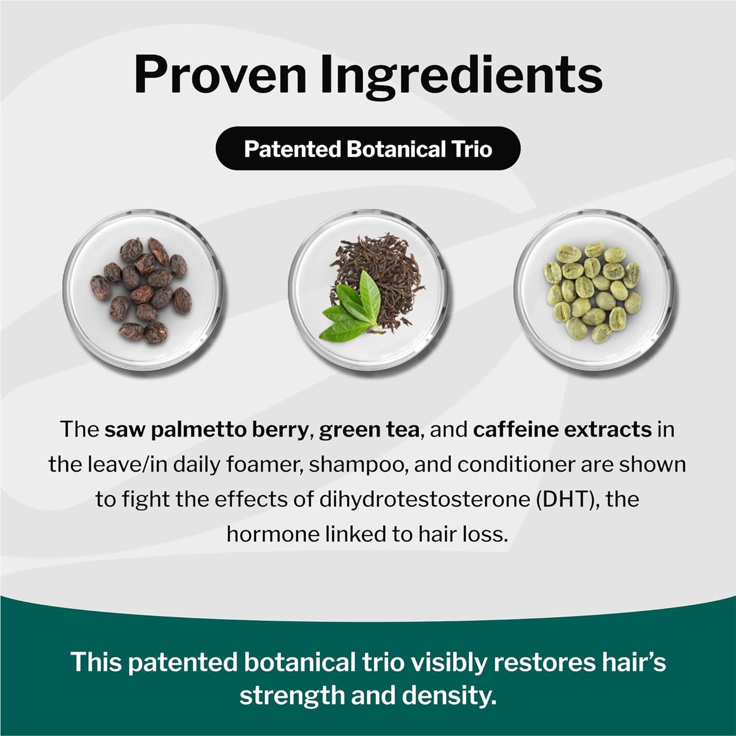 Shapiro MD Hair Growth Experts Hair Loss Shampoo | DHT Fighting Vegan Formula for Thinning Hair Developed by Dermatologists | Experience Healthier, Fuller and Thicker Looking Hair | 2 Month Supply