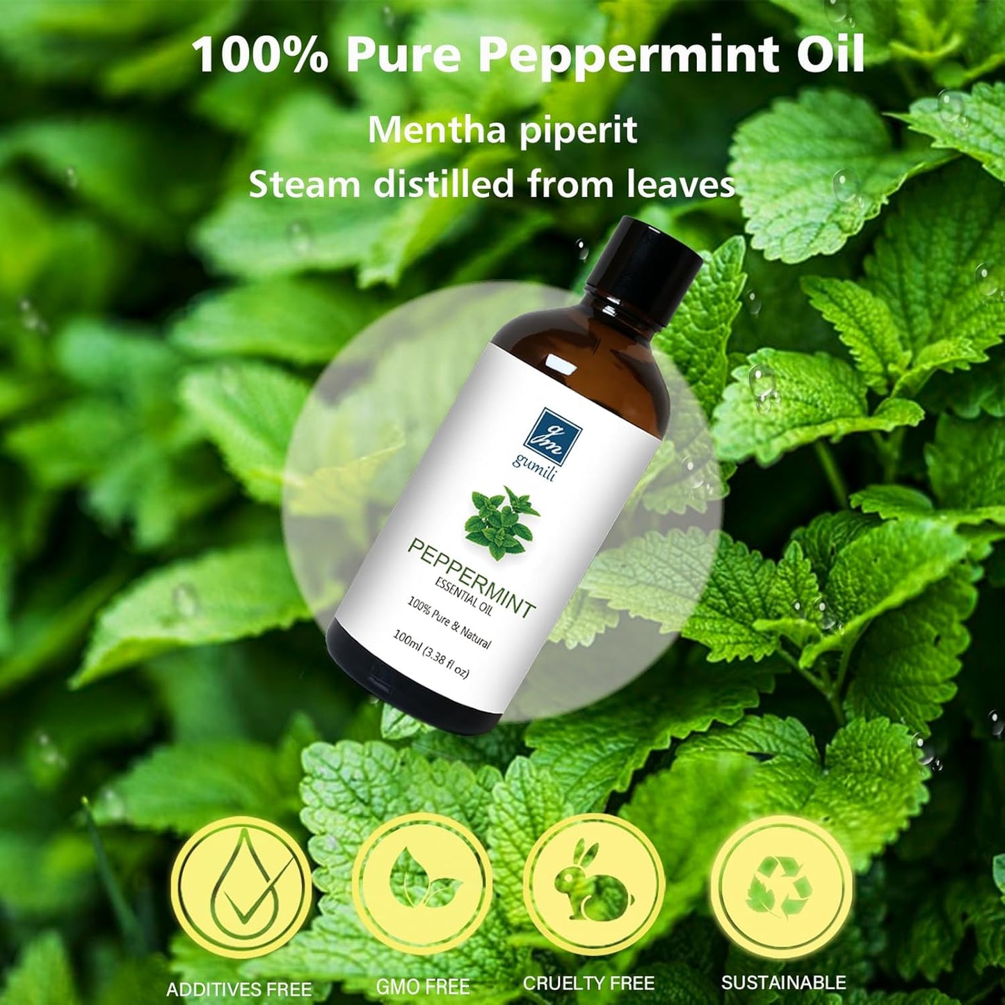 Peppermint Oil for Diffuser, Hair, Spray, Soap, Body Wash, 100% Pure Peppermint Essential Oil - 100ml