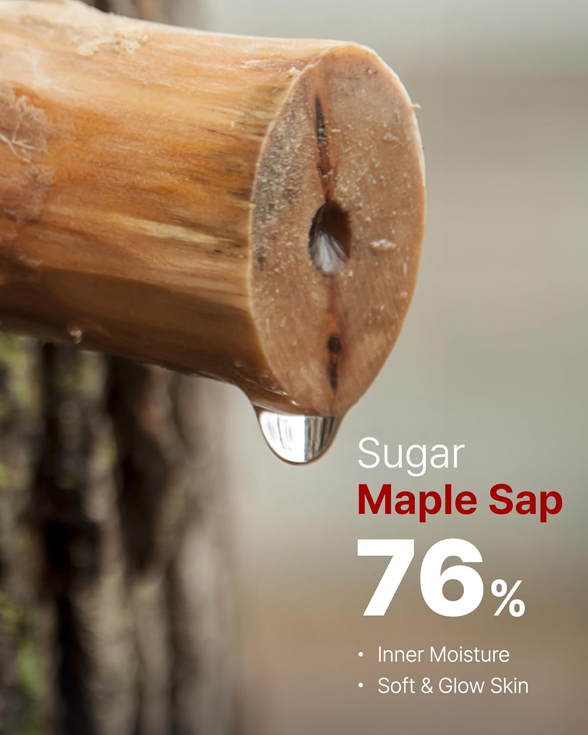 MAY COOP Moisture Essence Toner – Korean Hydrating & Nourishing Skincare for Dry Sensitive Skin with Wildcrafted Centella Asiatica, Rice Water & Birch Bark – Fast-Absorbing Texture – 5.07 fl. oz.