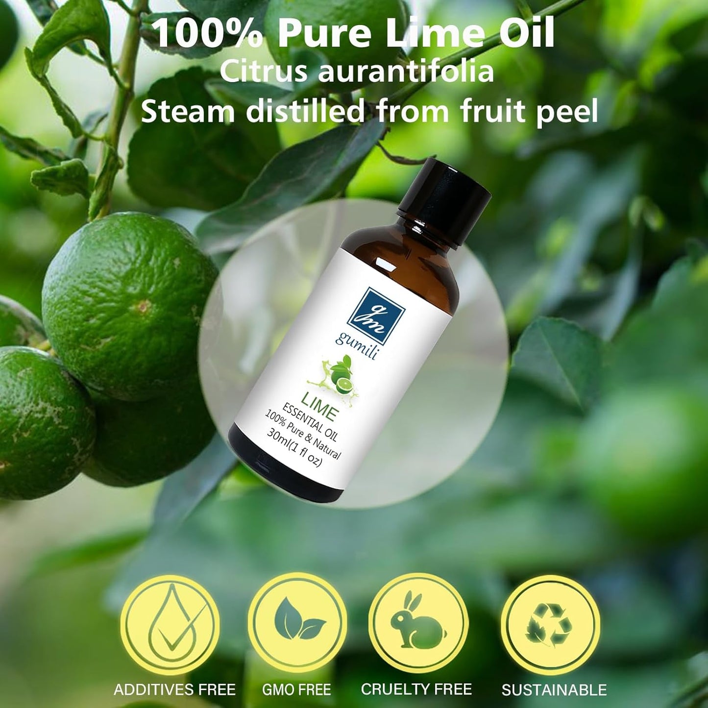 Lime Essential Oil 1 oz, 100% Pure & Undiluted Lime Oil for Diffuser, Skin & DIY, Natural Citrus Oils