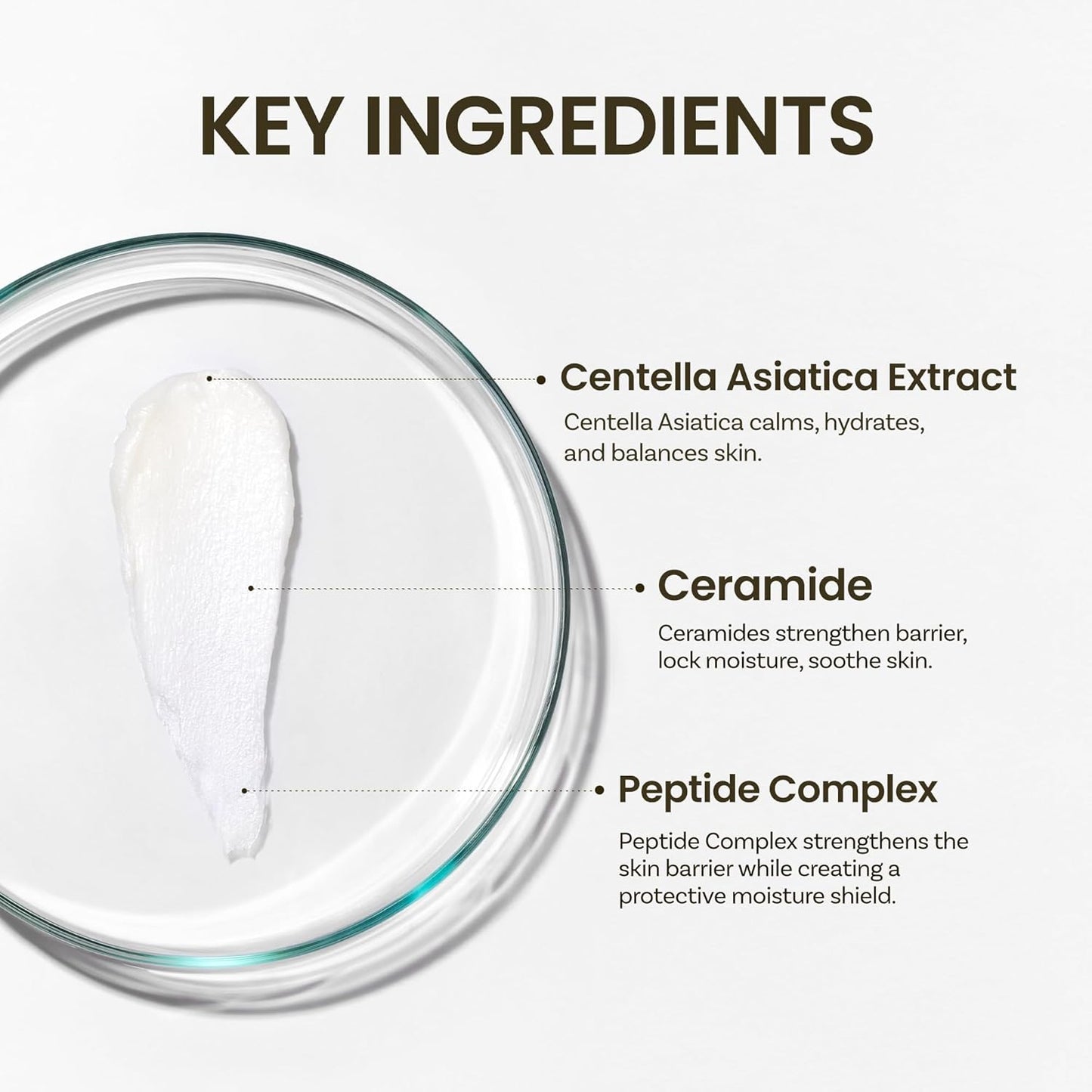 ONGREDIENTS Skin Barrier Moisture Deep Cleanser | Daily Face Wash for All Types | Centella, Peptide, AHA, LHA, Hydrating, Soothing, Pore Tightening | Vegan, Korean Skin Care 4.06 fl Oz