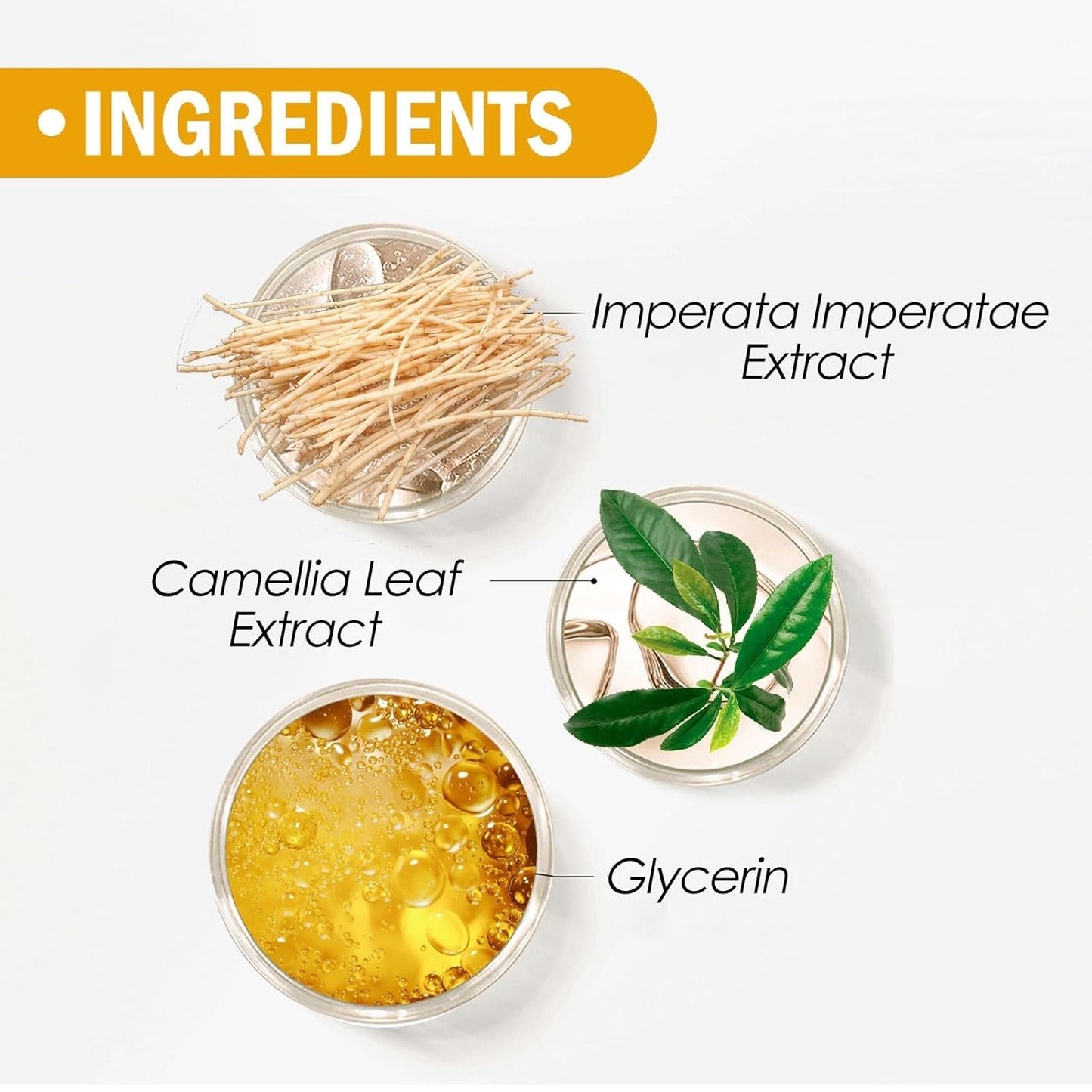 Mineral Sunscreen Setting Powder, SPF 50 PA++, Mineral Brush Powder, Matte Translucent Loose Setting Powder, Natural Oil Control Lightweight Face Powder for All Skin, Smooth, Lasting, Breathable