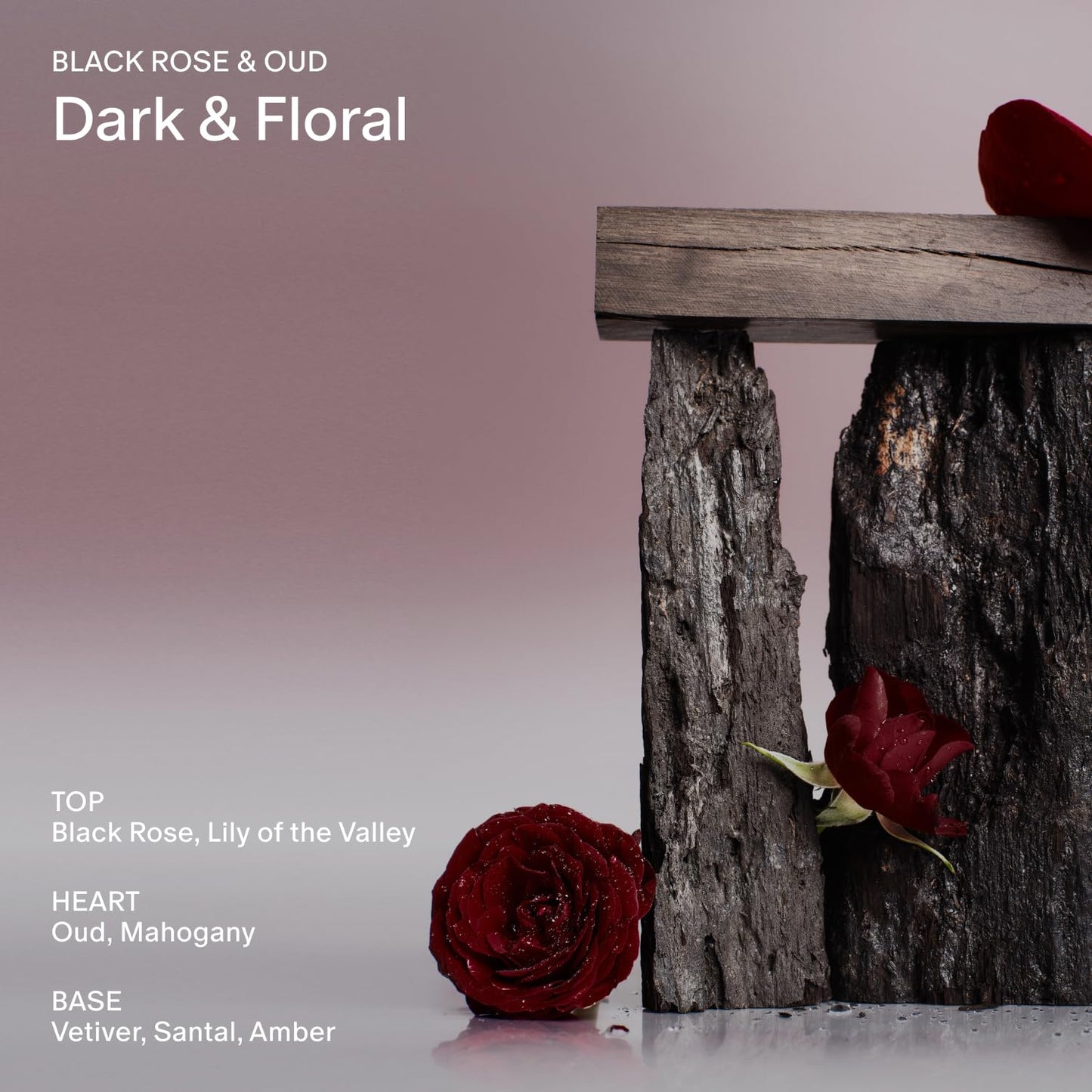 SALT & STONE Natural Deodorant - Black Rose & Oud | Extra Strength Natural Deodorant for Women & Men | Aluminum Free with Seaweed Extracts, Shea Butter & Probiotics | Free From Parabens & Sulfates