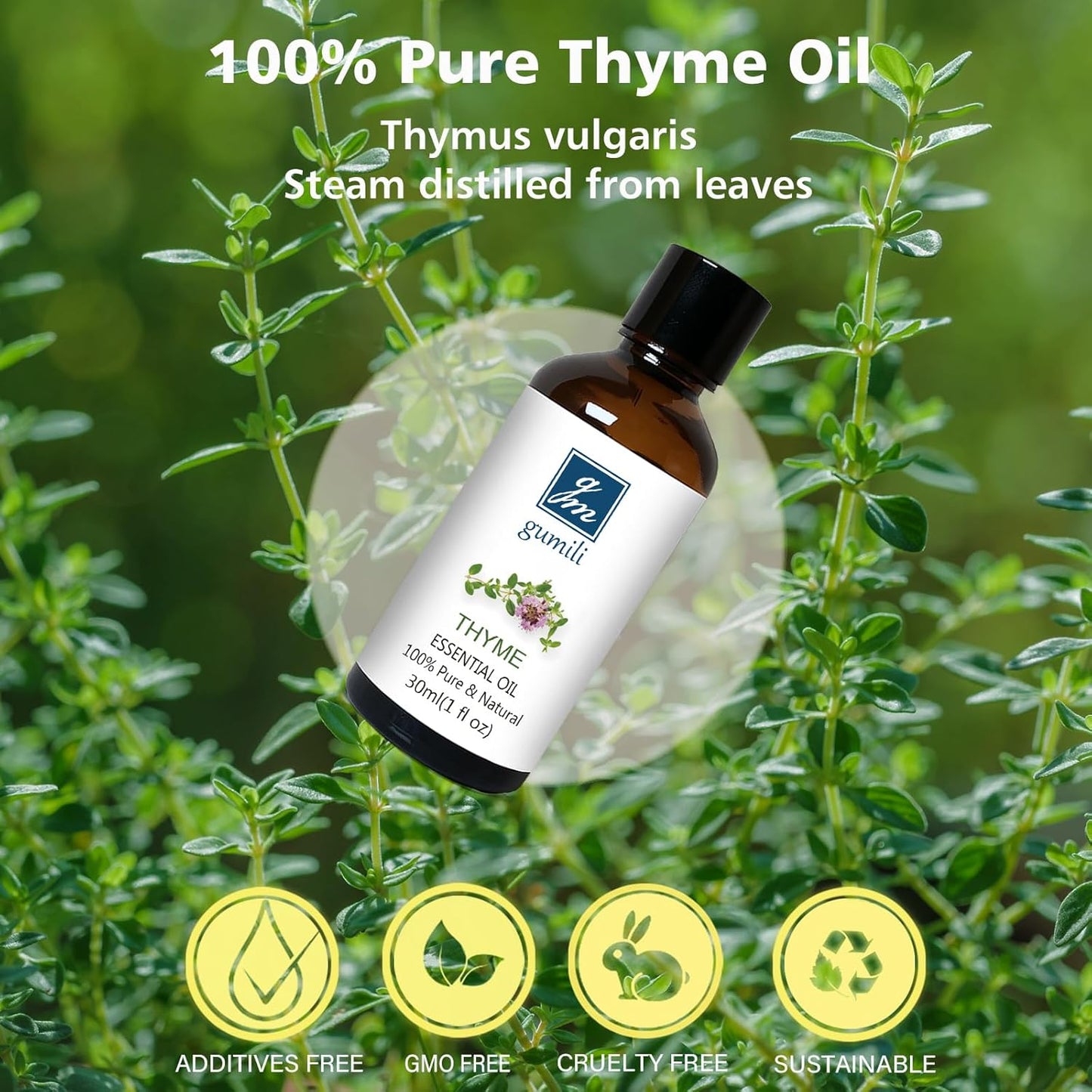 Thyme Essential Oil, 100% Pure Undiluted, 30ml/1 oz