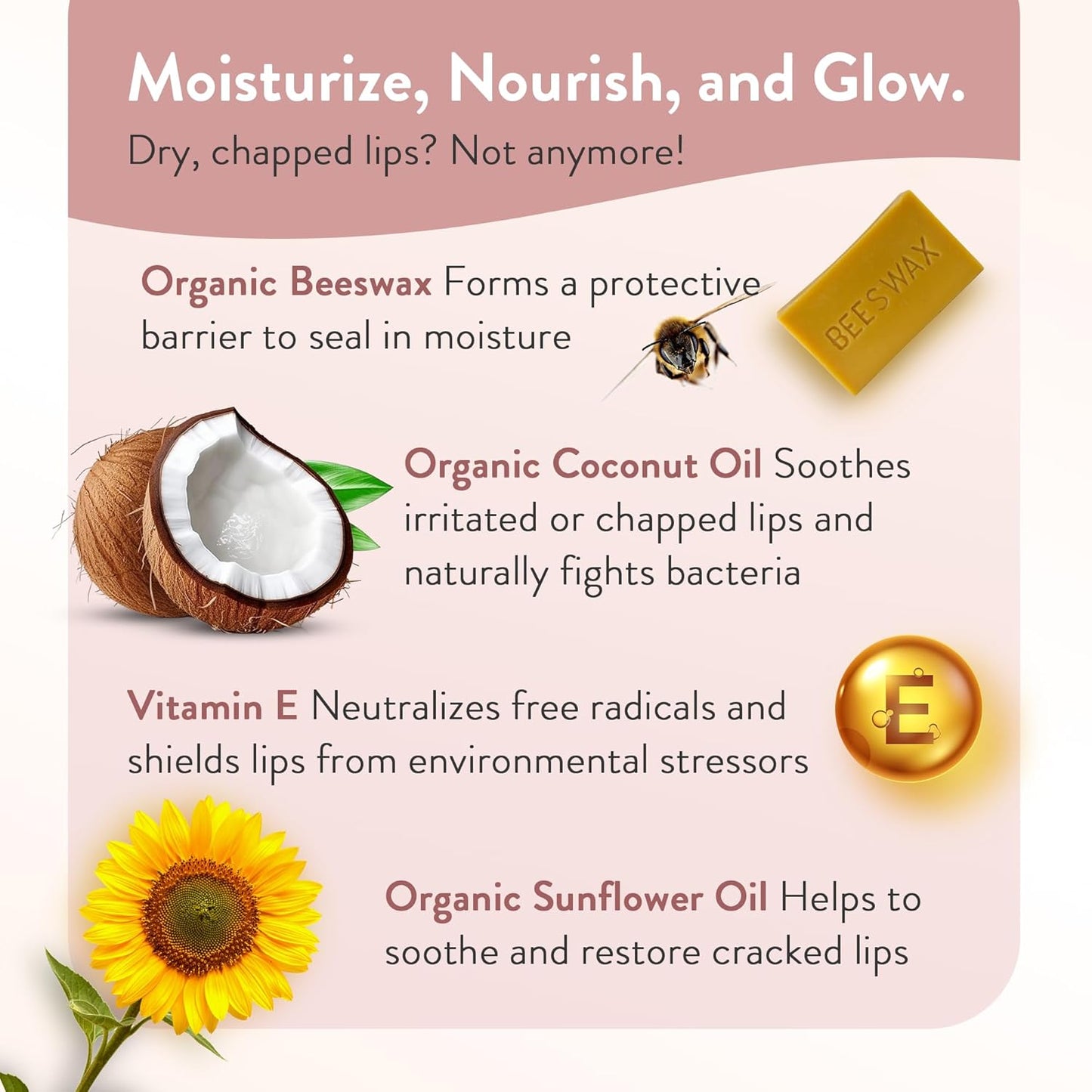 Moroccan Magic Organic Pure Coconut Lip Balm 3 Pack | Ultra-Hydrating Argan & Essential Oil Lip Moisturizer + Vitamin E | Natural Chapsticks for Dry Lips | Smooth, Non-Toxic | Organic Lip Balm Set