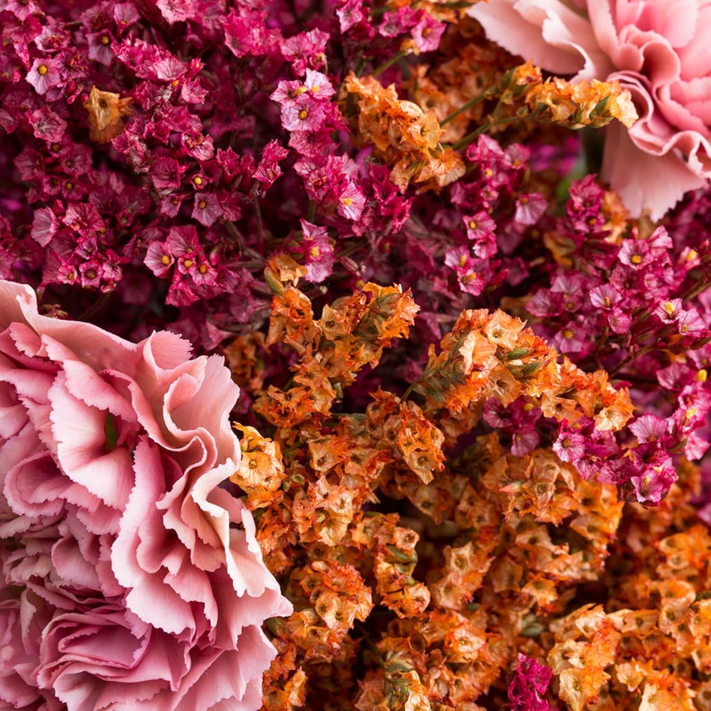 KORRES Instant Smoothing Serum Shower Oil, Hydrating Body Oil for Men and Women, Daily After Shower Skin Care for Dry & Rough Skin, Nourishing Botanicals with Sea Lavender Scent, 8.45 Fl Oz