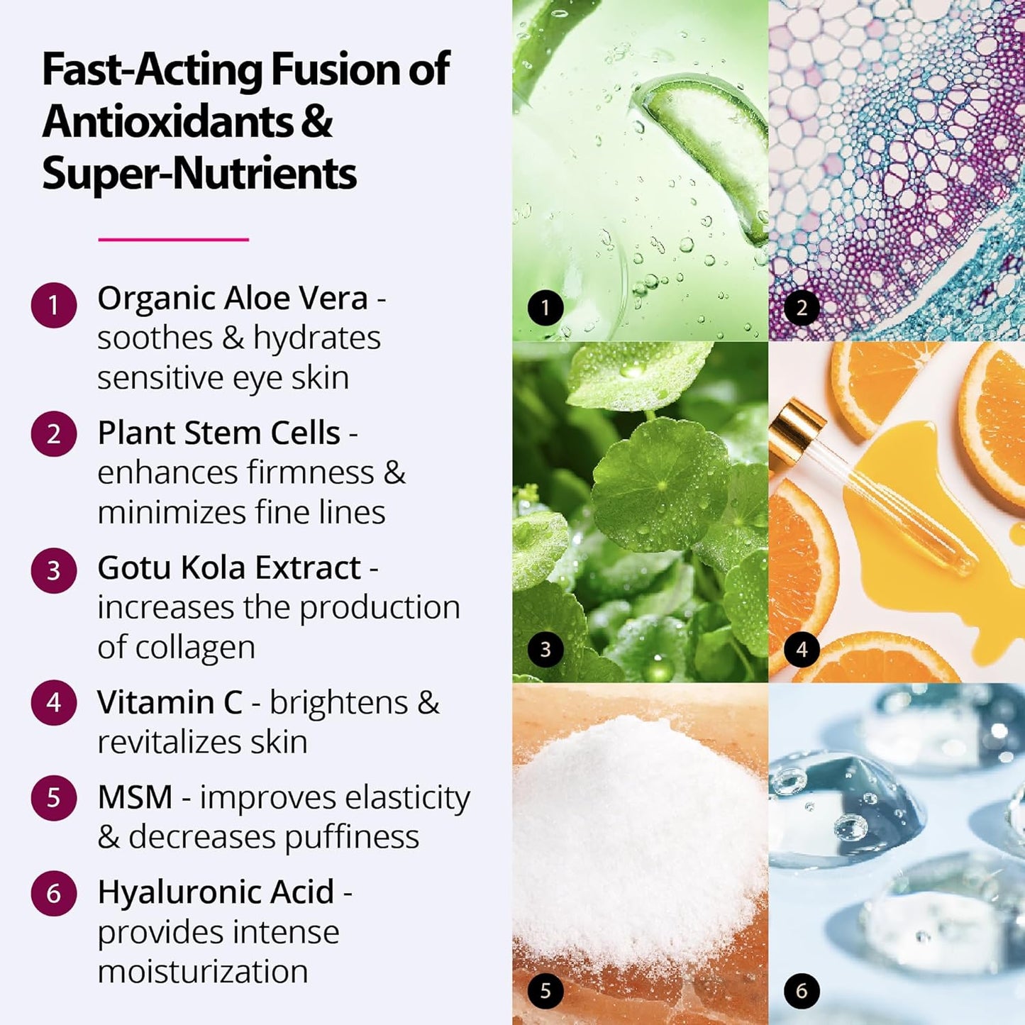 Eye Firming Serum Advanced Formula with Stem Cells Aloe Peptide - Anti Aging Reduce Wrinkles Fine Lines Dark Circles Undereye Puffy Bag Remover 0.5 oz