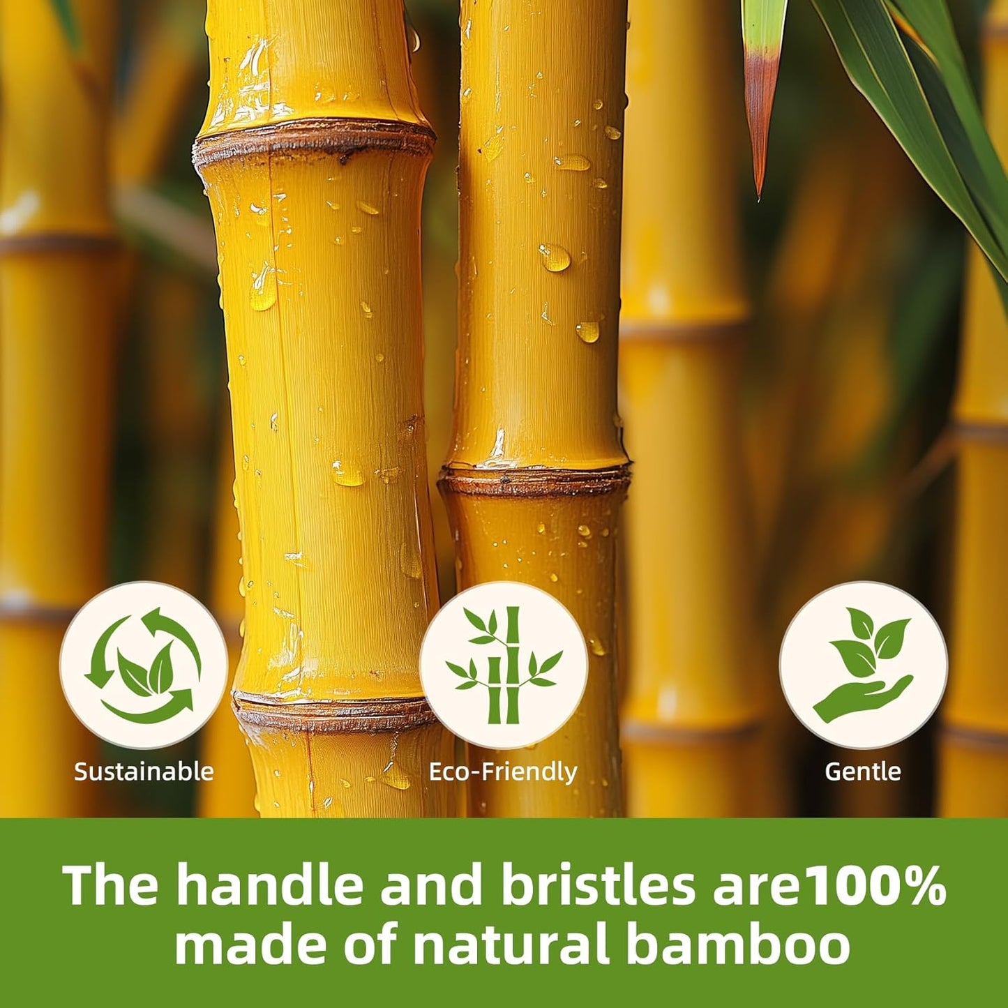 MRD Hair brush, Natural Bamboo Paddle Detangling Hairbrush, Massage Scalp Thick/Thin/Curly/Dry Hair For Women & Men