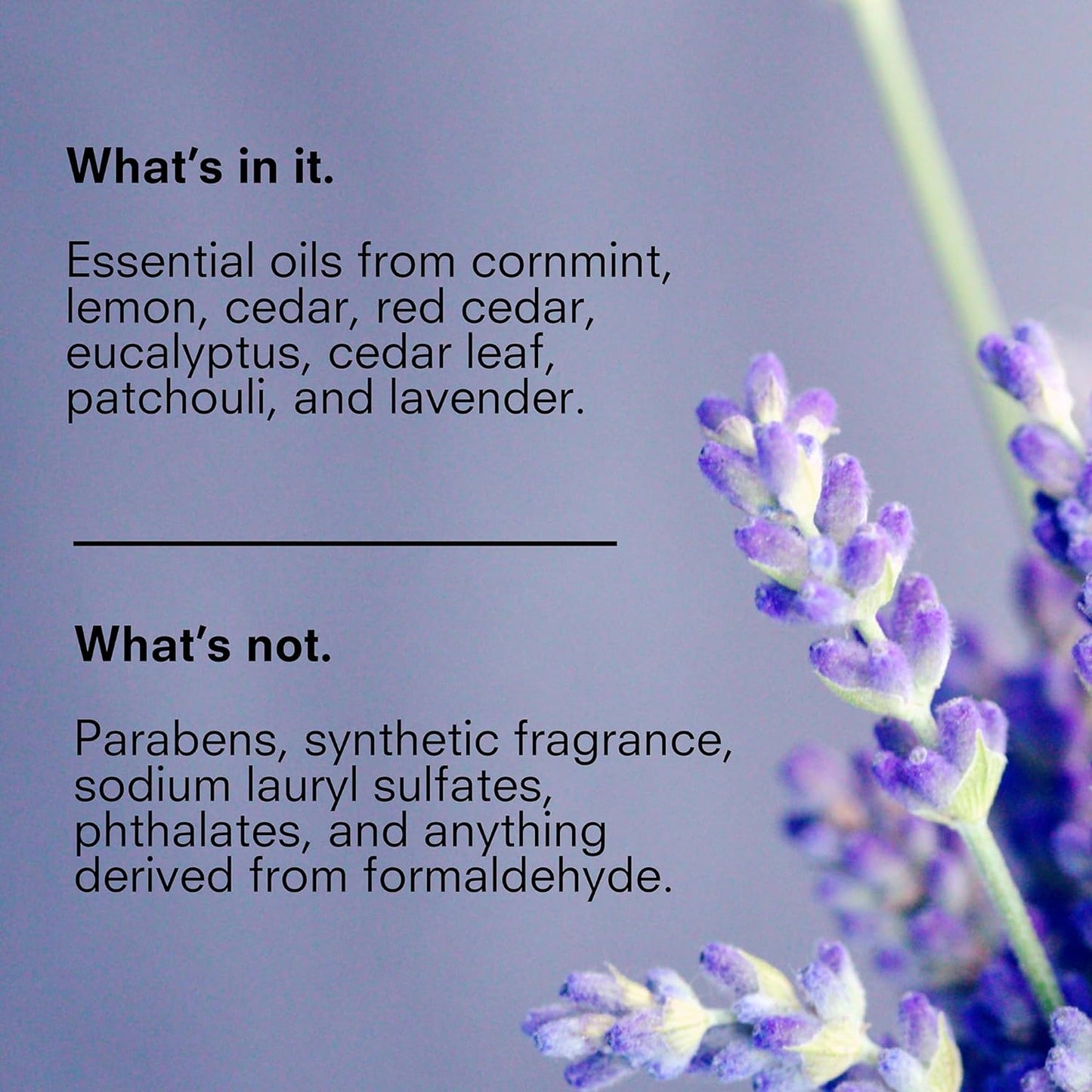 Public Goods Body & Hand Lotion for Women & Men | Natural Moisturizing Daily Lotion for Dry & Itchy Skin | Paraben & Sulfate Free | Made with Organic Essential Oils | Made in Canada | 12 Fl Oz Bottle