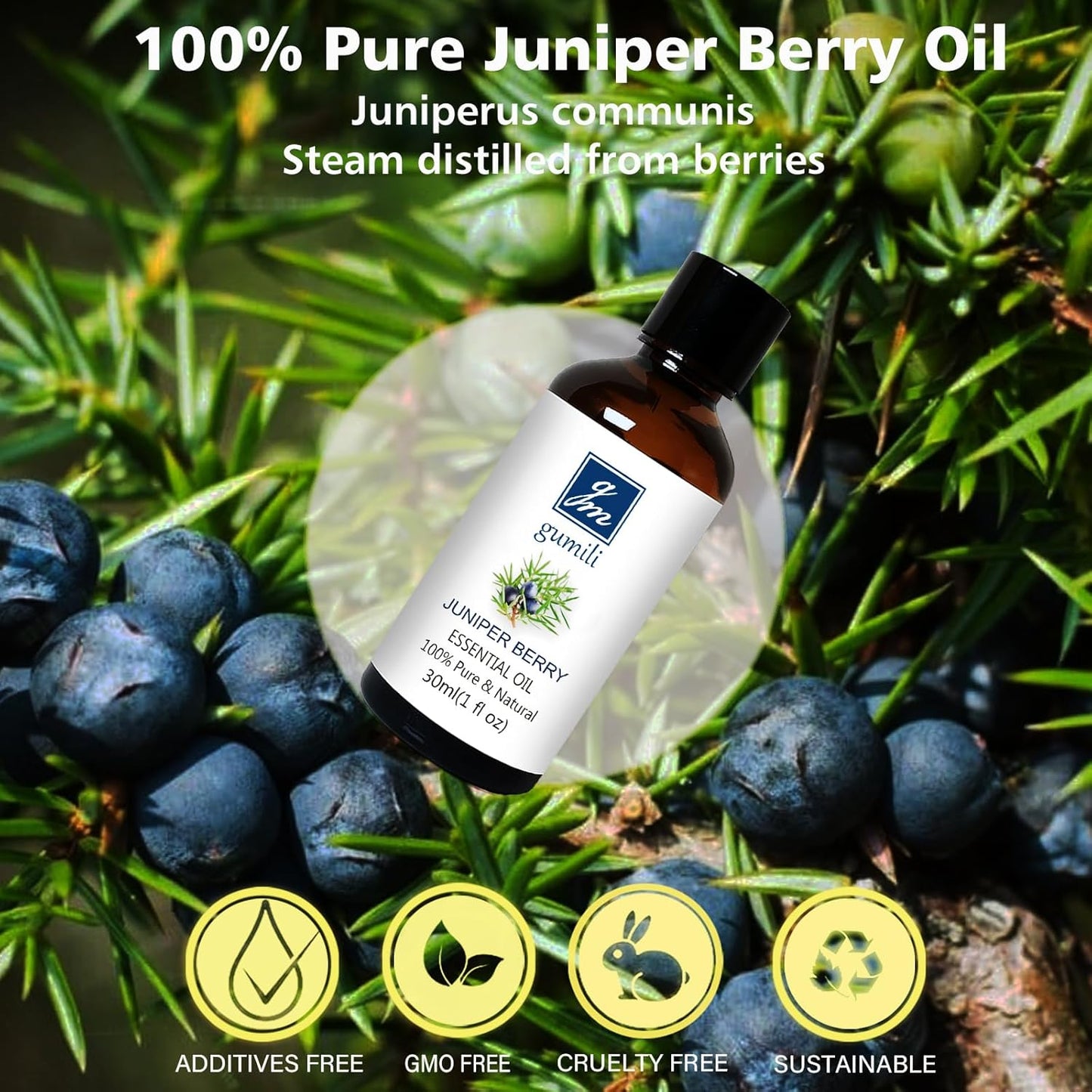 Juniper Berry Essential Oil 1 Oz – 100% Pure Natural Juniper Berry Oil for Diffuser, Massage, DIY Blends & Personal Care, Fresh Crisp Aroma